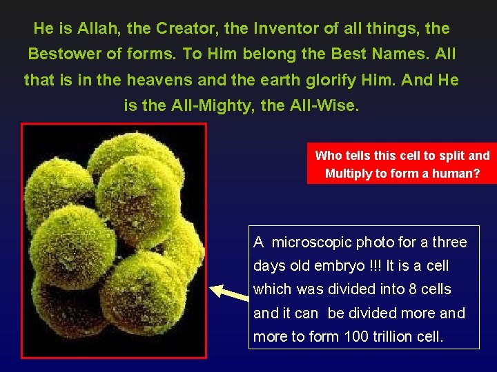 He is Allah, the Creator, the Inventor of all things, the Bestower of forms.