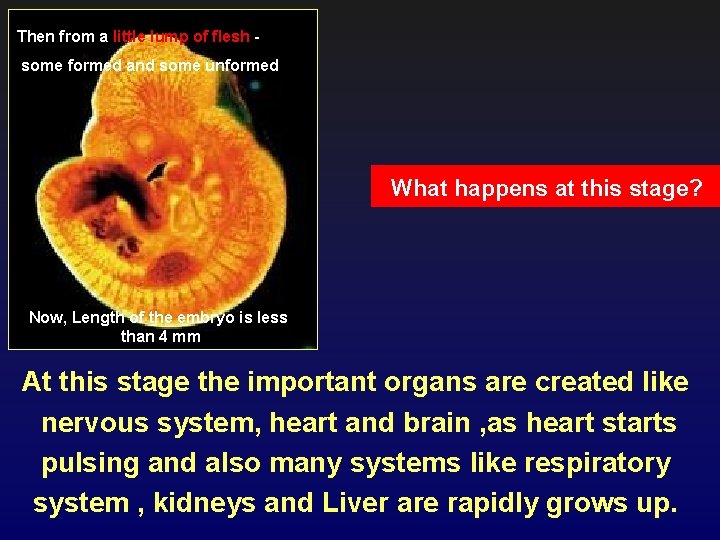 Then from a little lump of flesh some formed and some unformed What happens