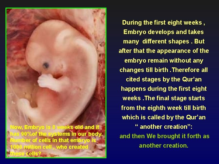 During the first eight weeks , Embryo develops and takes many different shapes. But