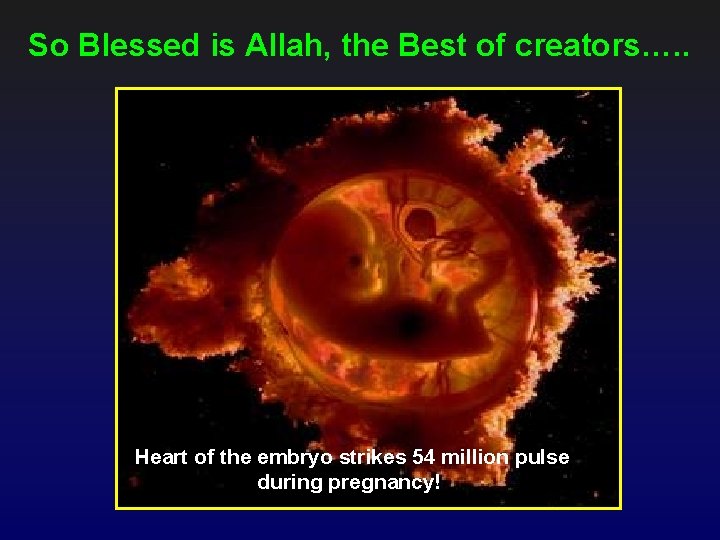 So Blessed is Allah, the Best of creators…. . Heart of the embryo strikes