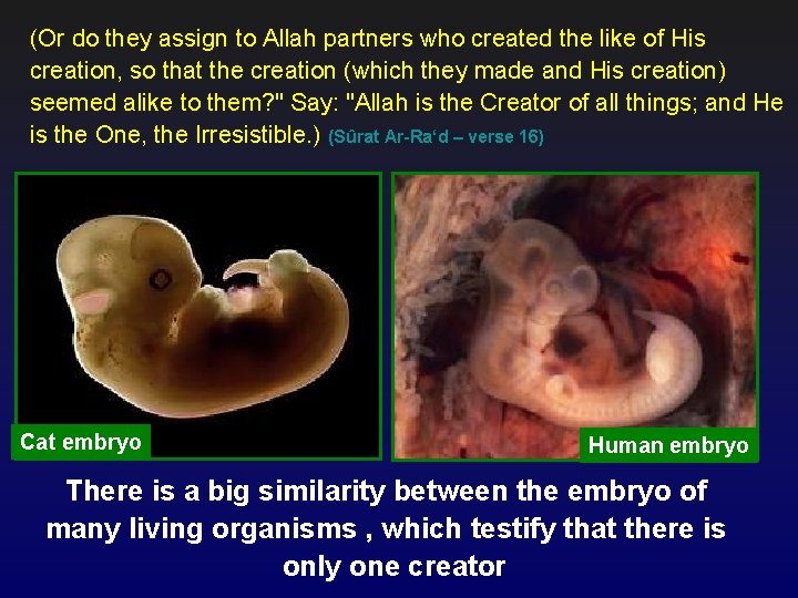 (Or do they assign to Allah partners who created the like of His creation,