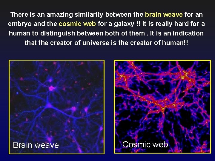 There is an amazing similarity between the brain weave for an embryo and the