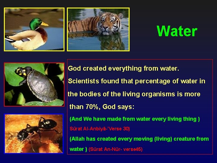 Water God created everything from water. Scientists found that percentage of water in the