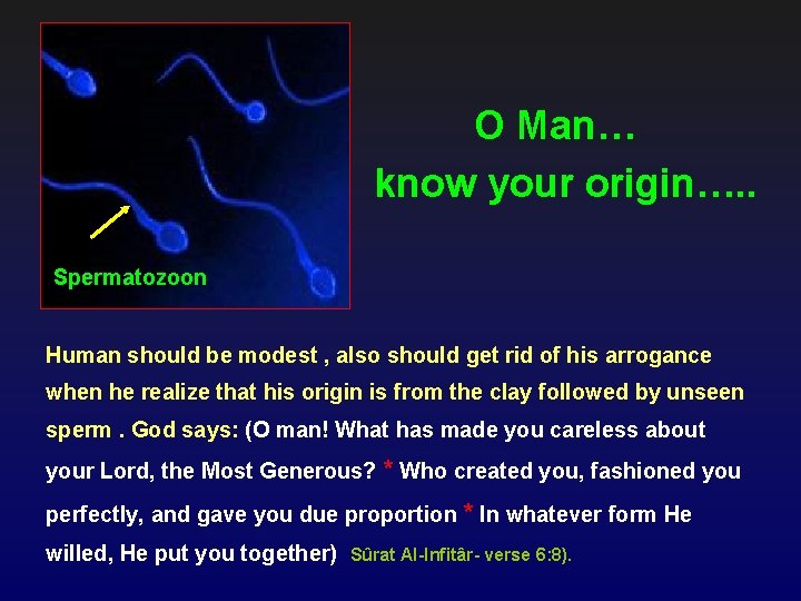 O Man… know your origin…. . Spermatozoon Human should be modest , also should