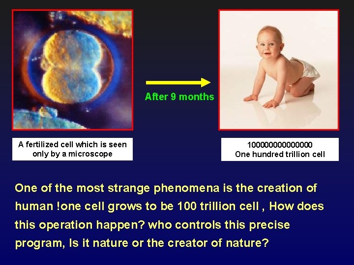 After 9 months A fertilized cell which is seen only by a microscope 10000000