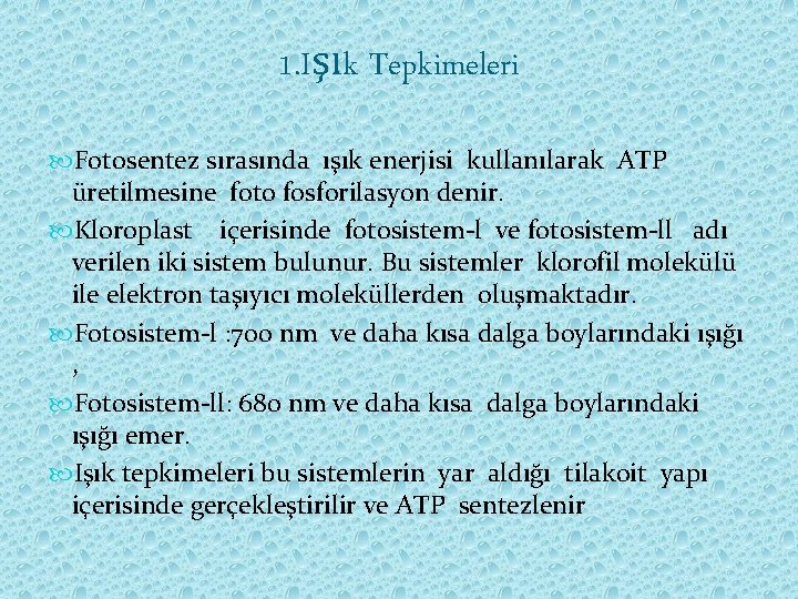 1. Işık Tepkimeleri Fotosentez sırasında ışık enerjisi kullanılarak ATP üretilmesine foto fosforilasyon denir. Kloroplast