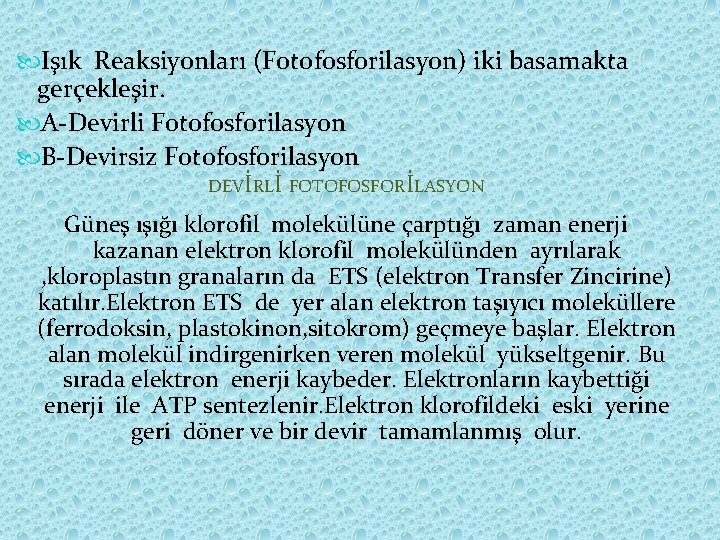  Işık Reaksiyonları (Fotofosforilasyon) iki basamakta gerçekleşir. A-Devirli Fotofosforilasyon B-Devirsiz Fotofosforilasyon DEVİRLİ FOTOFOSFORİLASYON Güneş