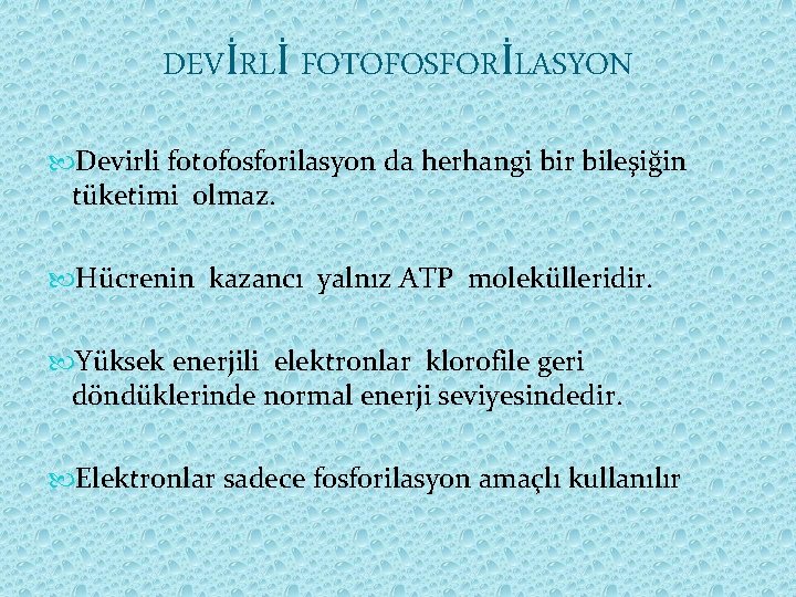 DEVİRLİ FOTOFOSFORİLASYON Devirli fotofosforilasyon da herhangi bir bileşiğin tüketimi olmaz. Hücrenin kazancı yalnız ATP