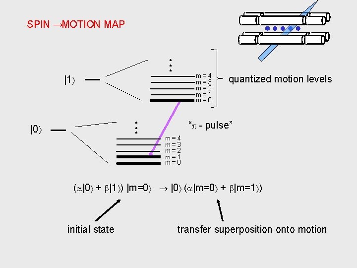 SPIN →MOTION MAP ● ● ● m=4 m=3 m=2 m=1 m=0 |1 ● ●