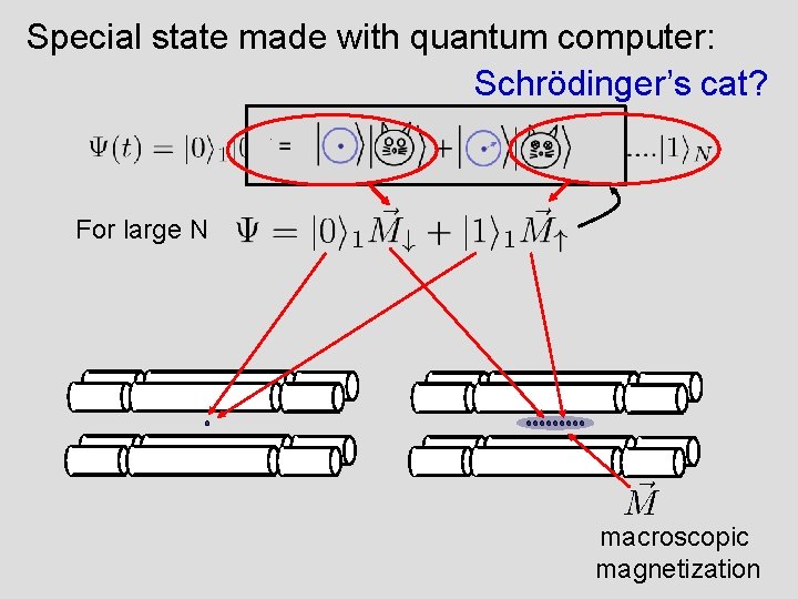 Special state made with quantum computer: Schrödinger’s cat? For large N macroscopic magnetization 