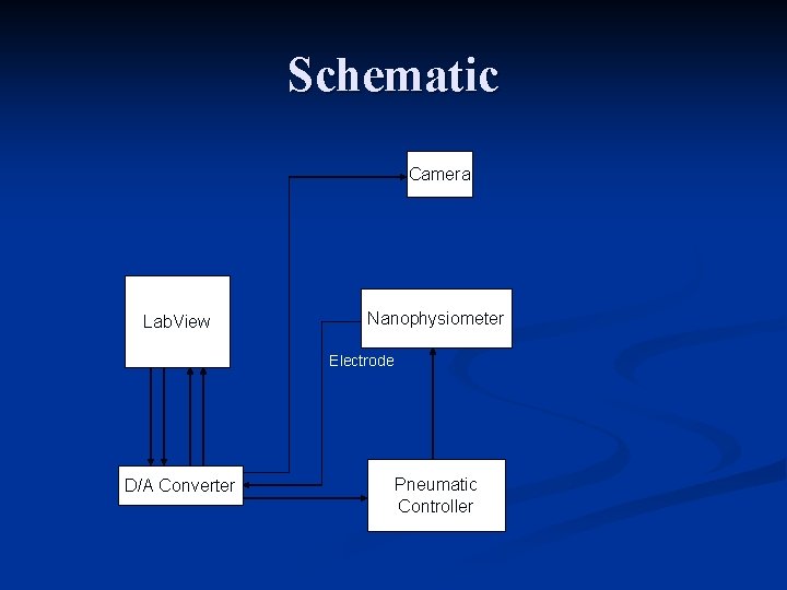 Schematic Camera Lab. View Nanophysiometer Electrode D/A Converter Pneumatic Controller 