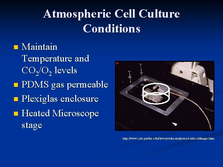 Atmospheric Cell Culture Conditions Maintain Temperature and CO 2/O 2 levels n PDMS gas