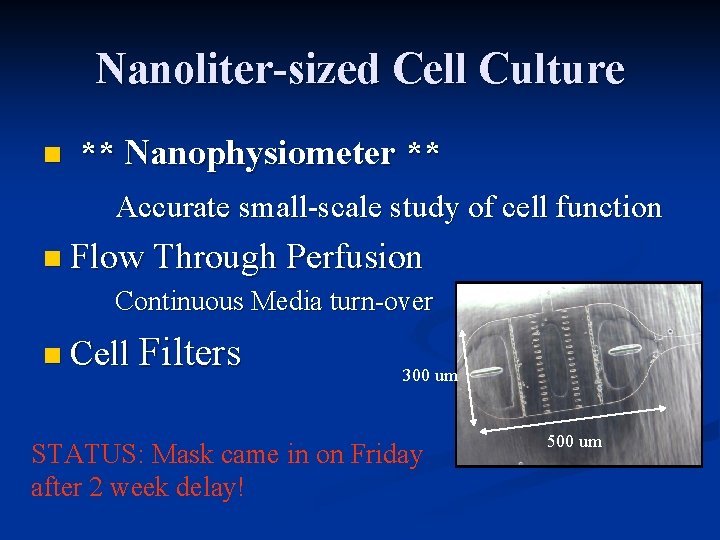 Nanoliter-sized Cell Culture n ** Nanophysiometer ** Accurate small-scale study of cell function n