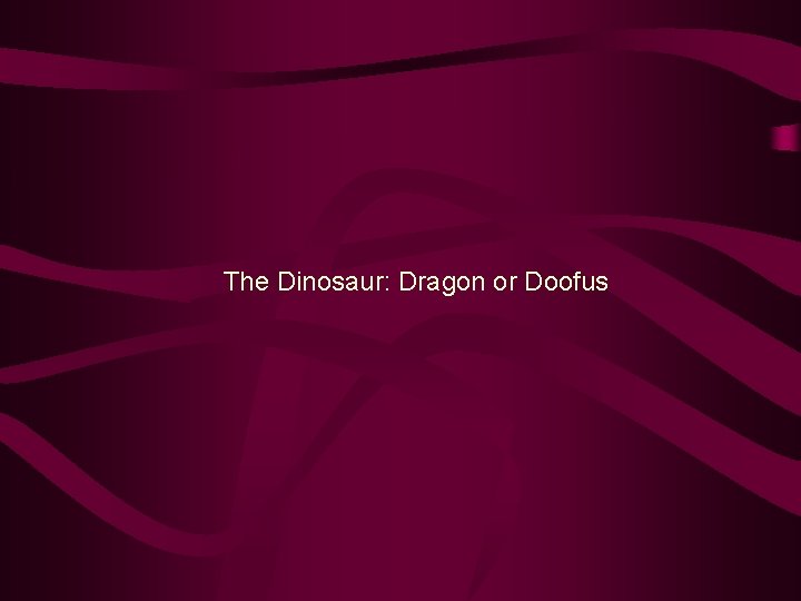 The Dinosaur: Dragon or Doofus 