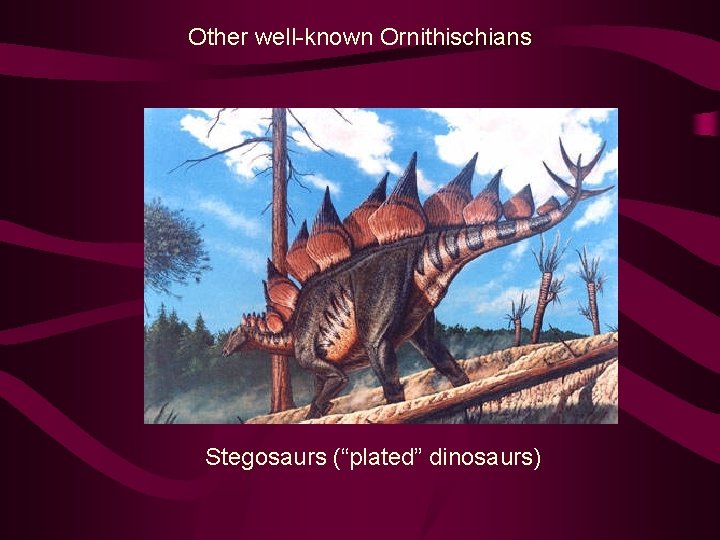 Other well-known Ornithischians Stegosaurs (“plated” dinosaurs) 