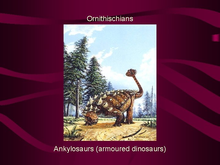 Ornithischians Ankylosaurs (armoured dinosaurs) 