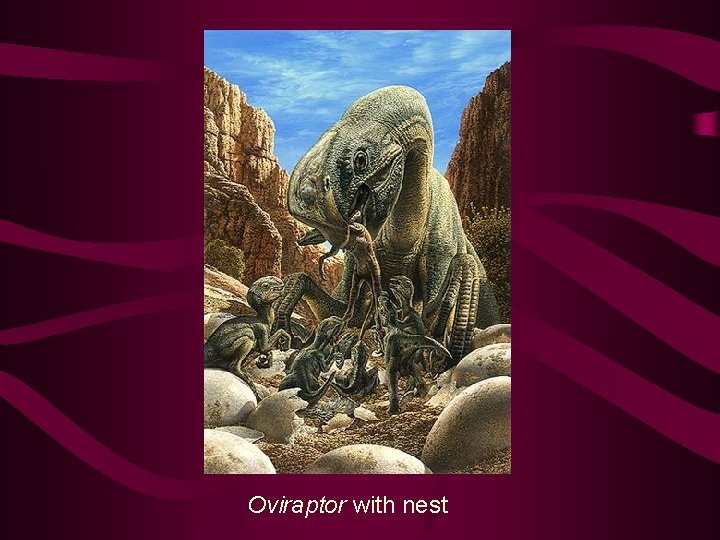 Oviraptor with nest 