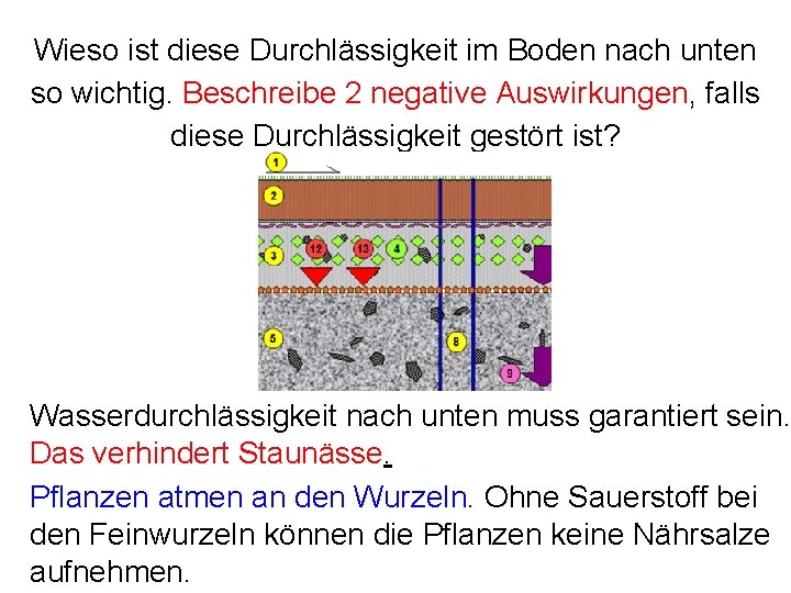 Wieso ist diese Durchlässigkeit im Boden nach unten so wichtig. Beschreibe 2 negative Auswirkungen,