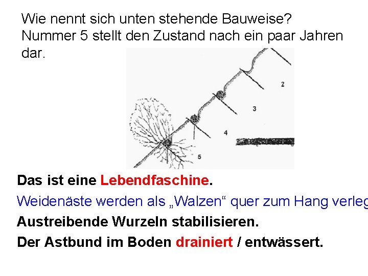 Wie nennt sich unten stehende Bauweise? Nummer 5 stellt den Zustand nach ein paar