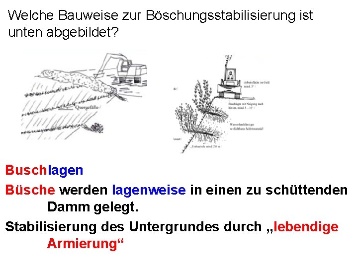 Welche Bauweise zur Böschungsstabilisierung ist unten abgebildet? Buschlagen Büsche werden lagenweise in einen zu