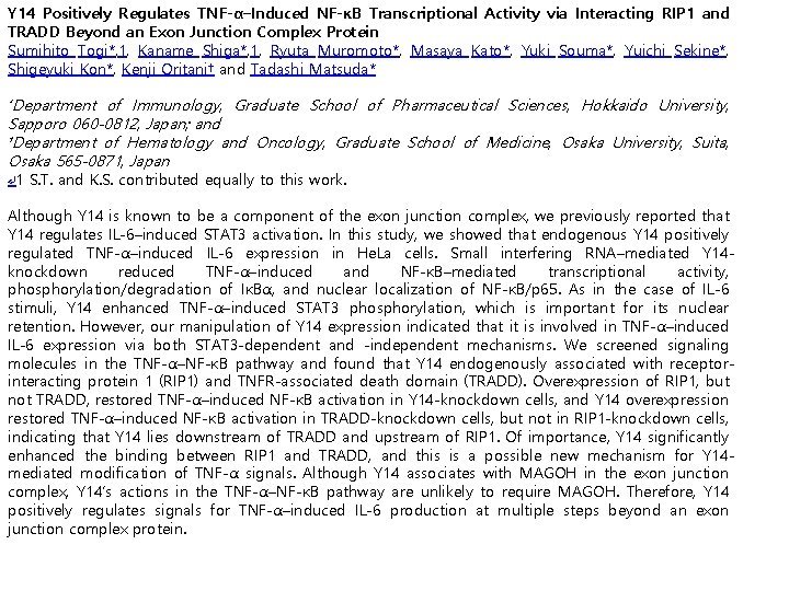 Y 14 Positively Regulates TNF-α–Induced NF-κB Transcriptional Activity via Interacting RIP 1 and TRADD