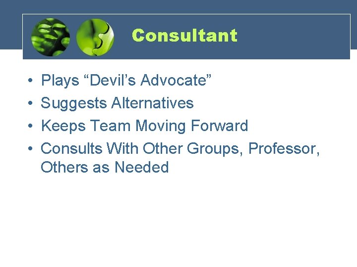 Consultant • • Plays “Devil’s Advocate” Suggests Alternatives Keeps Team Moving Forward Consults With