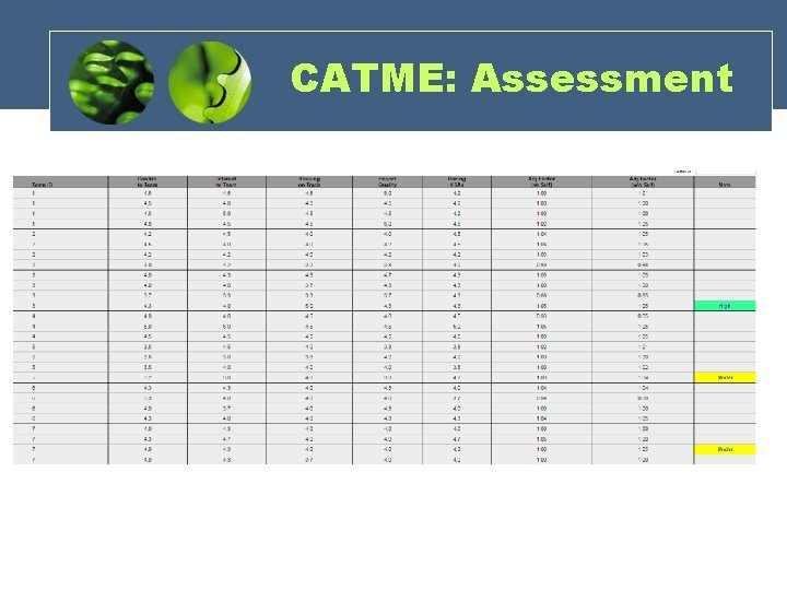 CATME: Assessment 