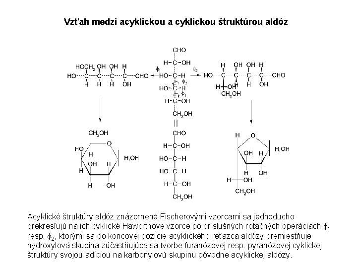 Vzťah medzi acyklickou a cyklickou štruktúrou aldóz Acyklické štruktúry aldóz znázornené Fischerovými vzorcami sa