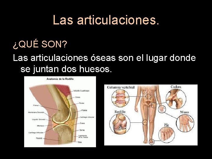 Las articulaciones. ¿QUÉ SON? Las articulaciones óseas son el lugar donde se juntan dos