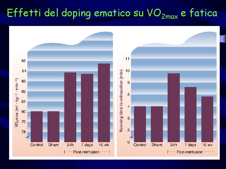 Effetti del doping ematico su VO 2 max e fatica 