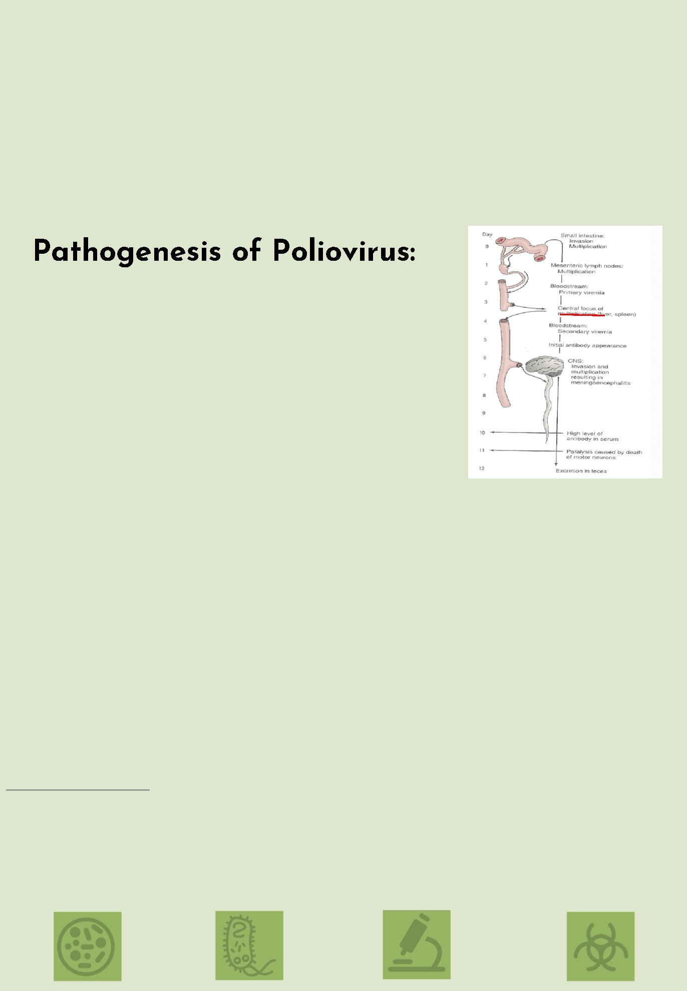 Pathogenesis of Poliovirus: 