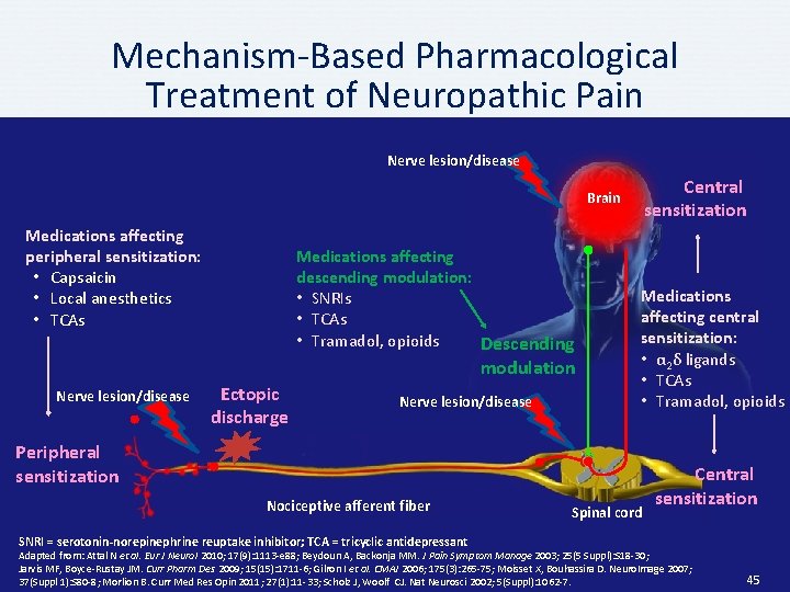 Mechanism-Based Pharmacological Treatment of Neuropathic Pain Nerve lesion/disease Central sensitization Brain Medications affecting peripheral Mechanism-Based Pharmacological Treatment of Neuropathic Pain Nerve lesion/disease Central sensitization Brain Medications affecting peripheral