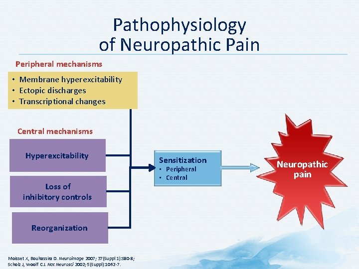 Pathophysiology of Neuropathic Pain Peripheral mechanisms • Membrane hyperexcitability • Ectopic discharges • Transcriptional Pathophysiology of Neuropathic Pain Peripheral mechanisms • Membrane hyperexcitability • Ectopic discharges • Transcriptional