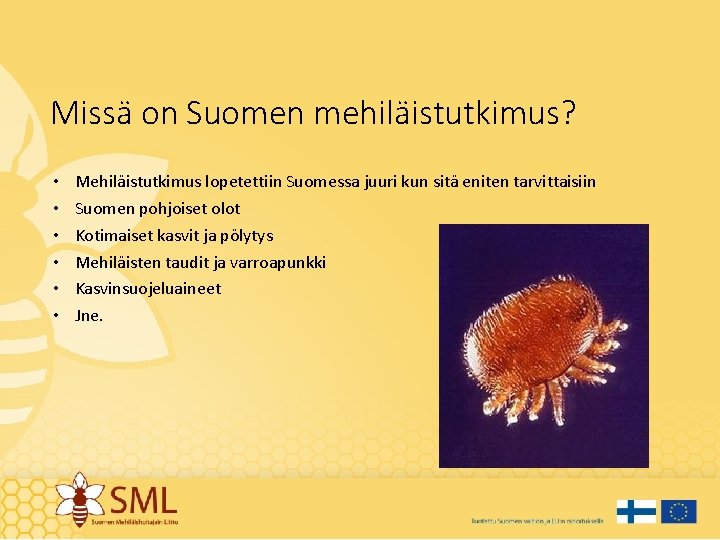 Missä on Suomen mehiläistutkimus? • • • Mehiläistutkimus lopetettiin Suomessa juuri kun sitä eniten