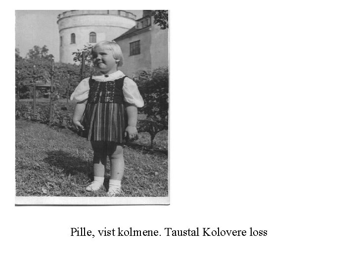 Pille, vist kolmene. Taustal Kolovere loss 