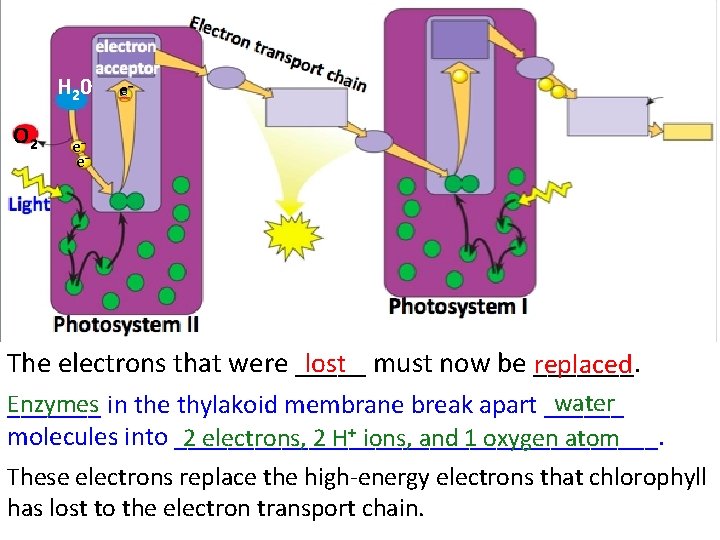 H 20 O 2 e− e− e− lost The electrons that were _____ must H 20 O 2 e− e− e− lost The electrons that were _____ must