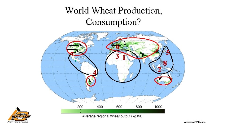 World Wheat Production, Consumption? 6 31 7 4 2 5 8 Anderson/3/9/2021 ppt. 