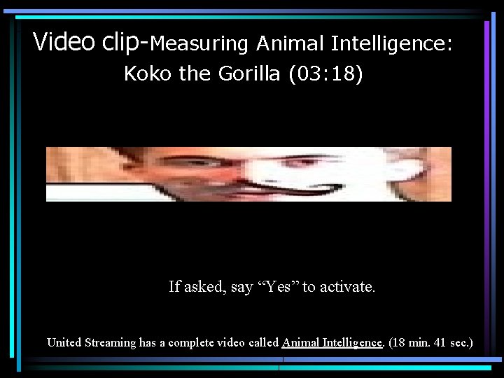 Video clip-Measuring Animal Intelligence: Koko the Gorilla (03: 18) If asked, say “Yes” to