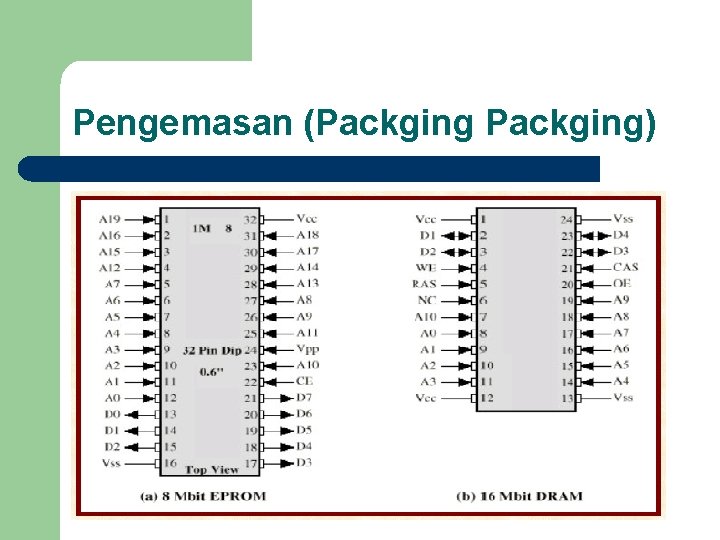 Pengemasan (Packging) 