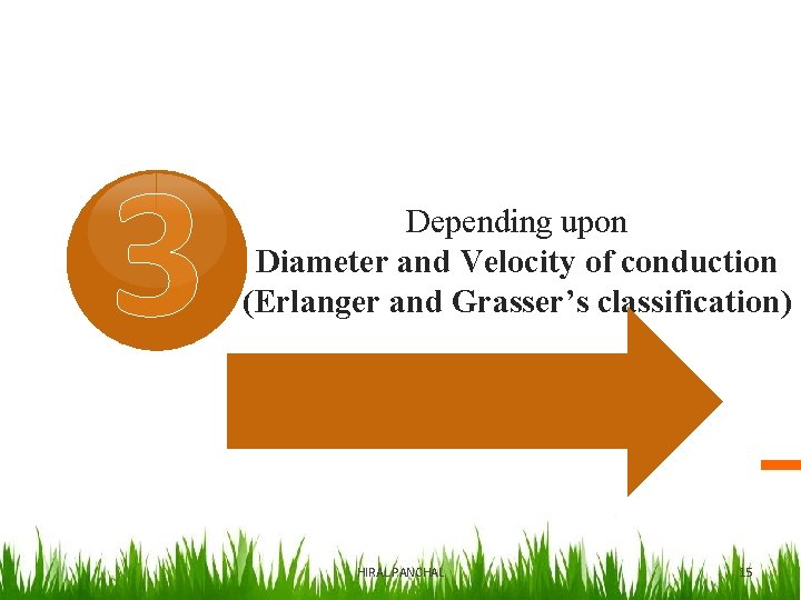 3 Depending upon Diameter and Velocity of conduction (Erlanger and Grasser’s classification) HIRAL PANCHAL