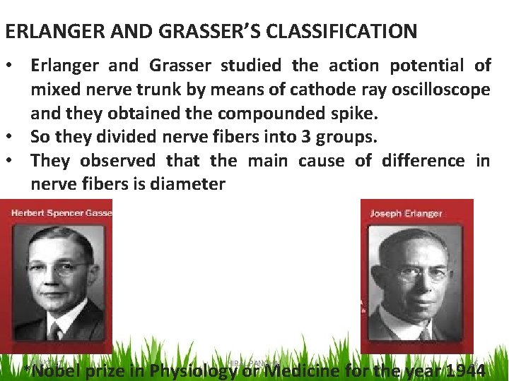 ERLANGER AND GRASSER’S CLASSIFICATION • Erlanger and Grasser studied the action potential of mixed