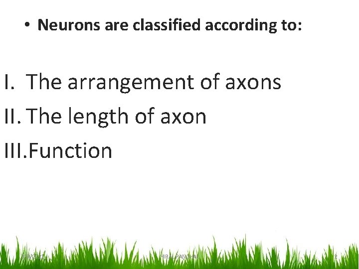  • Neurons are classified according to: I. The arrangement of axons II. The