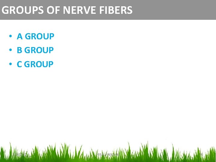 GROUPS OF NERVE FIBERS • A GROUP • B GROUP • C GROUP 3/9/2021