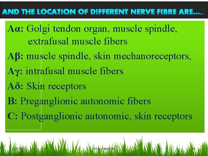 AND THE LOCATION OF DIFFERENT NERVE FIBRE ARE…. . Aα: Golgi tendon organ, muscle