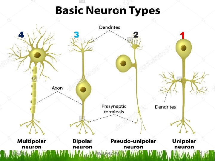 4 3/9/2021 3 2 HIRAL PANCHAL 1 3 