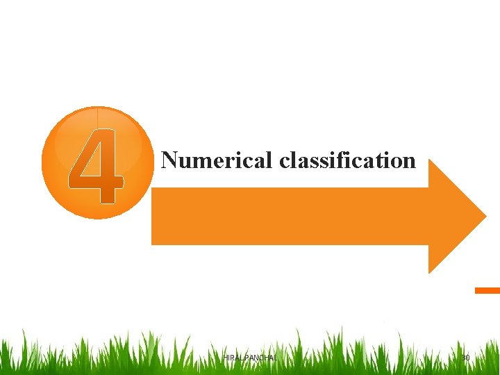  Numerical classification HIRAL PANCHAL 30 
