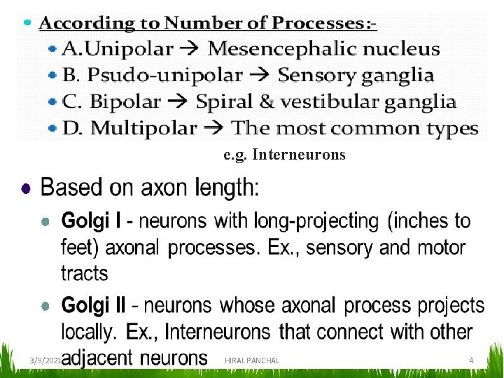 e. g. Interneurons 3/9/2021 HIRAL PANCHAL 4 