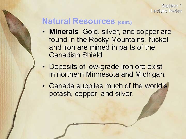 Natural Resources (cont. ) • Minerals Gold, silver, and copper are found in the