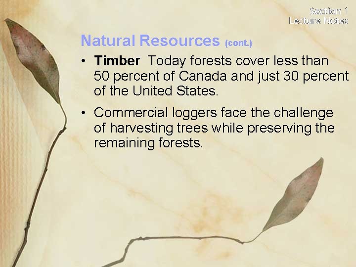 Natural Resources (cont. ) • Timber Today forests cover less than 50 percent of