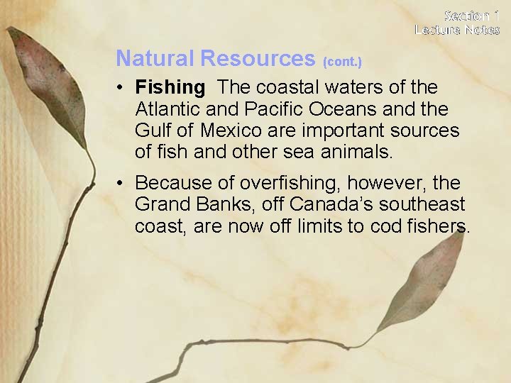 Natural Resources (cont. ) • Fishing The coastal waters of the Atlantic and Pacific